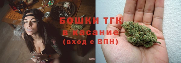 гашиш Богданович