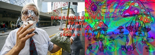 гашиш Богданович