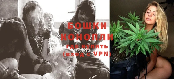 2c-b Богородицк