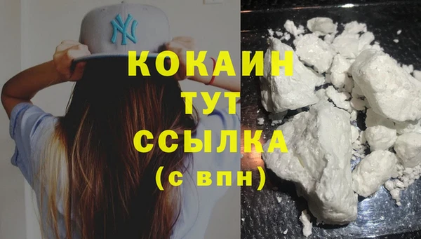 гашиш Богданович
